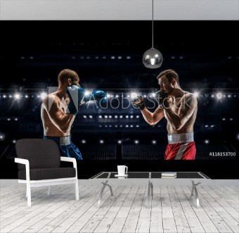 Picture of Professional box match  Mixed media